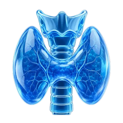 glowing glass thyroid anatomy blood test m4 diagnostic blood test in mumbai removebg preview