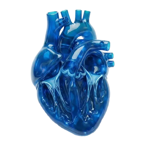 heart m4 diagnostic blood test in mumbai.webp