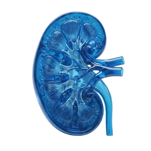 kedneytest m4 diagnostic blood test in mumbai