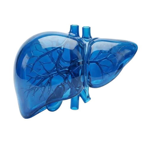 liber m4 diagnostic blood test in mumbai
